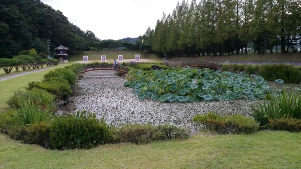 5224d839b14a0eefaedab816b43dad23_1472741