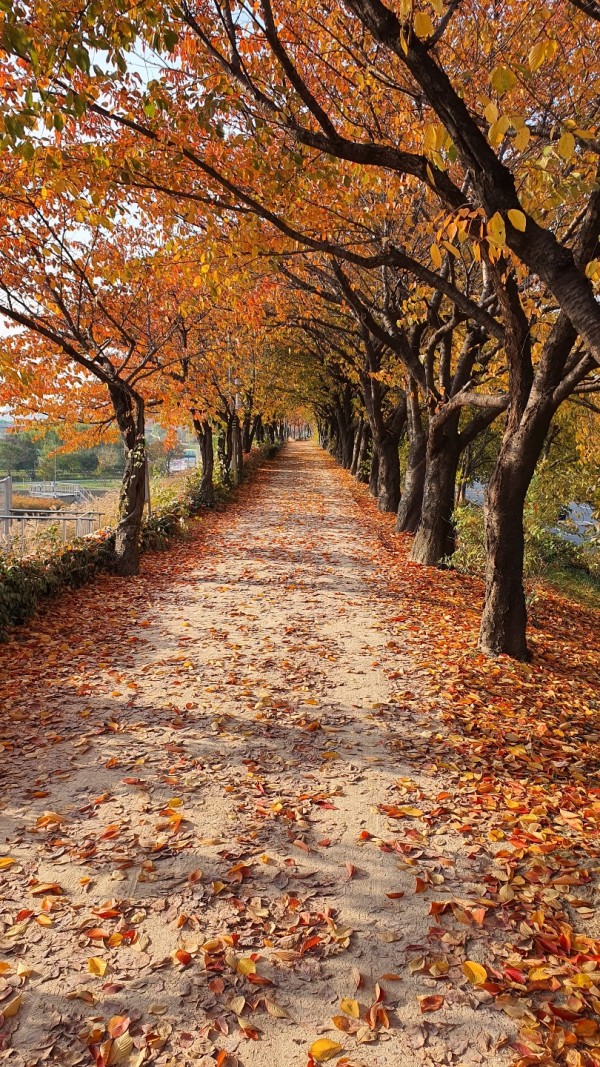 a25f53aeb377fe796de548d62316dfce_1668418